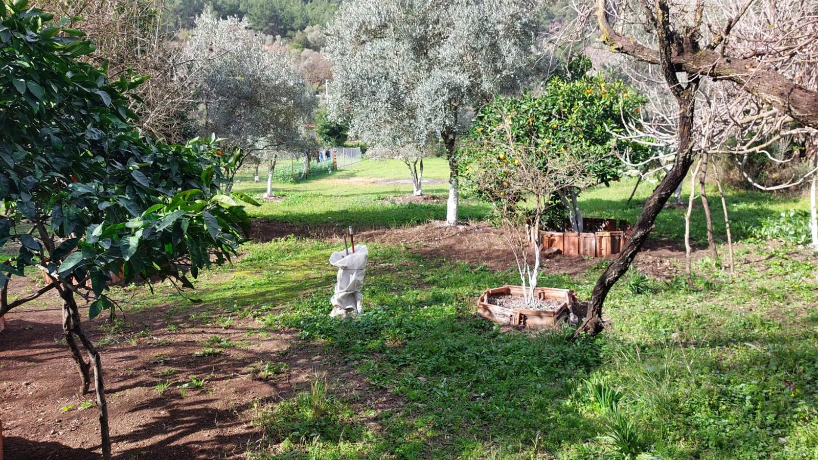 SATILIK 1.847 M2 ARSA VE İÇİNDE BİNA